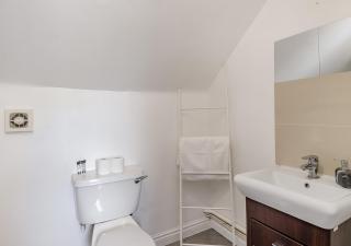Pintail - Mileham - Mileham - 1