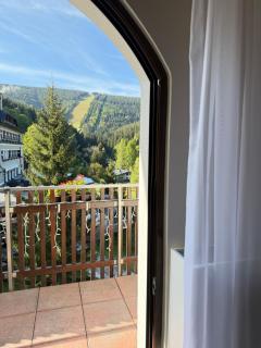 Wellness Hotel Windsor - Špindlerův Mlýn - 8