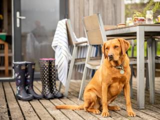 2 Bed in Caldbeck 80563 - Caldbeck - 9