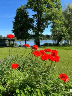Breathtaking Country House on the Lake Riegsee - Murnau am Staffelsee - 7
