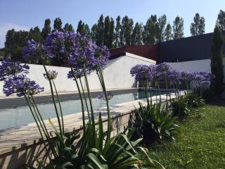 Belle villa avec piscine, proche plage et centre de Saint-Jean-de-Luz - FR-1-239-718 - 0