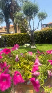 Villa Erika - Riposto - 7