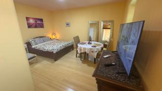 Studio Apartments Vivan & Vittala - Rijeka - 3