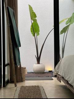 Casa Umarti - Sanur - 6