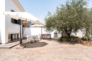 Casa Degli Ulivi 2 - seminterrato - 0