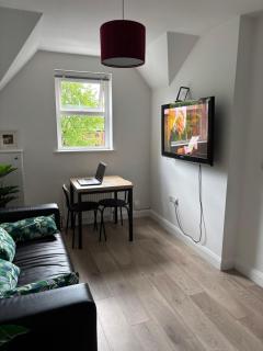 QUEENs STAYS BELFAST 1 bedroom apartment - Belfast - 3