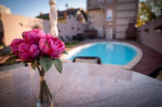 Penthouse Secret Rose with pool, jacuzzi, sauna, private garage, entry with pin 0-24h - Slavonski Brod - 0