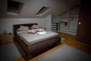 Penthouse Secret Rose with pool, jacuzzi, sauna, private garage, entry with pin 0-24h - Slavonski Brod - 1