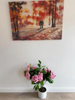 QUEENs STAYS BELFAST 1 bedroom apartment - Belfast - 4