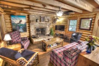 569) Massive Cabin in the woods 6 miles from Helen - Sautee Nacoochee - 3