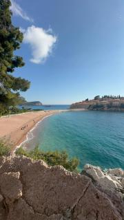 Mind Wellness Montenegro - 0