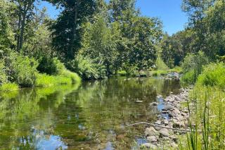 Serene Riverfront Home - Three Rivers - 1