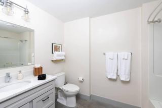 Sunny 1BR Apartment Walking Distance to Fiserv - Milwaukee - 4