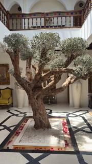 Albakech Boutique Hôtel & Spa - Marrakech - 8