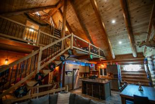 The ANIMAL - PARTY TIME - POOL SPA AND MOUNTAIN - Saint-Philémon - 0