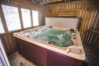The ANIMAL - PARTY TIME - POOL SPA AND MOUNTAIN - Saint-Philémon - 8