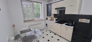 TESTEMITEANU APARTMENT - Chişinău - 1