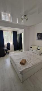 TESTEMITEANU APARTMENT - Chişinău - 9