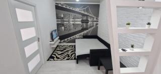 TESTEMITEANU APARTMENT - Chişinău - 3