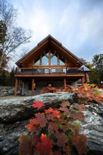 Welcome to the JUNGLE - Log cabine - SPA - Saint-Philémon - 8