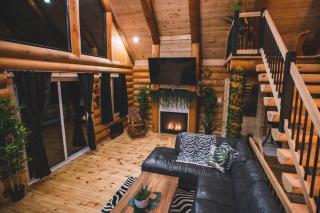 Welcome to the JUNGLE - Log cabine - SPA - Saint-Philémon - 7