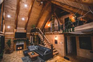 Welcome to the JUNGLE - Log cabine - SPA - Saint-Philémon - 6