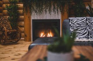 Welcome to the JUNGLE - Log cabine - SPA - Saint-Philémon - 4
