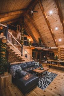 Welcome to the JUNGLE - Log cabine - SPA - Saint-Philémon - 2