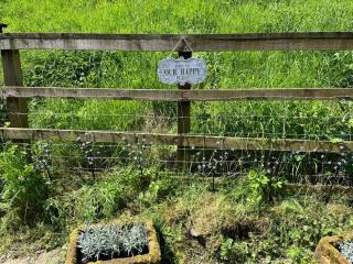 Cottage with off-lead Dog Field 3 bedroom - Airton - 7