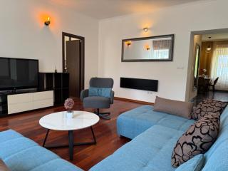 PETRUS SUPERIOR APARTMENT - spacious three-room apartment - prestigious location near Diocletian's Palace and Bacvice beach - the best restaurants within walking distance - free parking provided - Split - 1