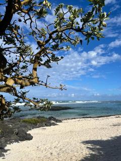 Waterside - Roches Noires - 1
