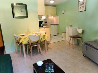 Appartement cosy avec balcon, à proximité du centre aquatique et des randonnées - FR-1-771-38 - Les Adrets - 0