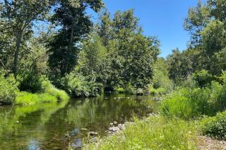 Tranquil Riverfront Studio - Three Rivers - 6