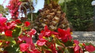 Phalanthos B&B - Leporano - 5