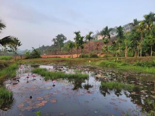 Ophel homes - Mananthavady - 7