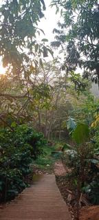 Ophel homes - Mananthavady - 8
