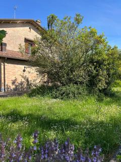 Agriturismo La Valle dei Conti - Cesena - 7