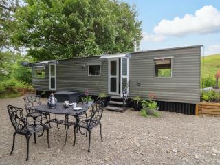 Gwybedog - Llanwrda - 9