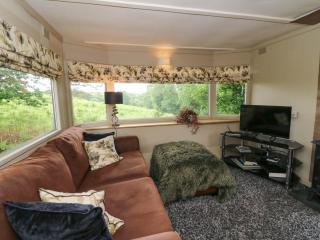 Gwybedog - Llanwrda - 5