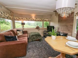 Gwybedog - Llanwrda - 6