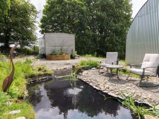 Gwybedog - Llanwrda - 8