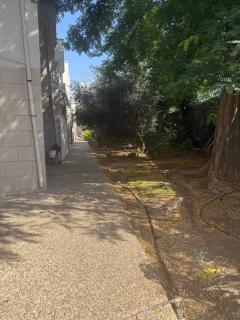 הכינרת מולי - Tiberias - 4
