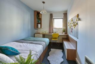 For Student Only - Trust House Near Exeter City Centre - Exeter - 1