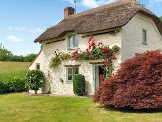 Little Thatch - Netherbury - 0