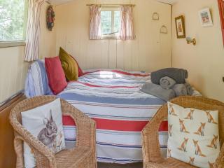 Tilly - Uk49798 - Brecon - 3