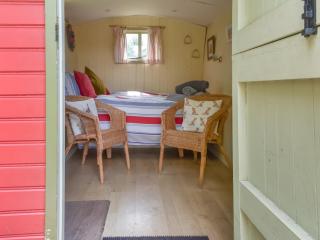 Tilly - Uk49798 - Brecon - 2