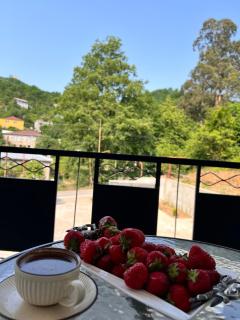 your house in batumi - 9