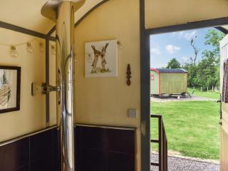 Brown Hare - Uk49799 - Brecon - 5