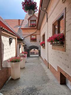 Hotel Claudiu - Sighişoara - 8