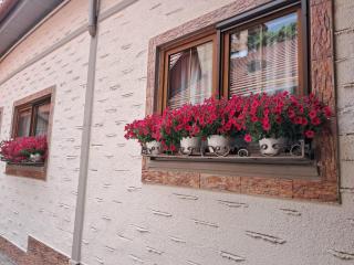 Hotel Claudiu - Sighişoara - 9